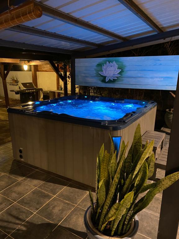 La Kaz Paille en Queue, Superbe Villa avec Piscine chauffée et jacuzzi - 68