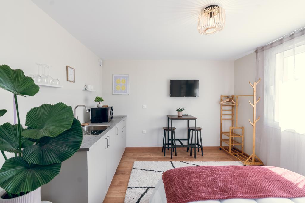 La simplicité, rénové et chaleureux - 3