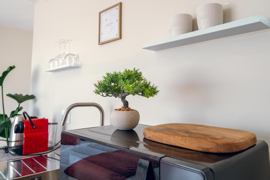 La simplicité, rénové et chaleureux - 6