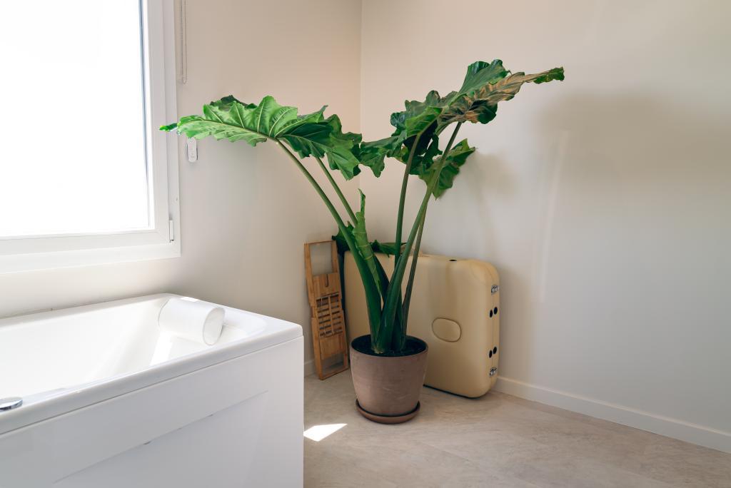 La Bali - Luxe et Détente - 8