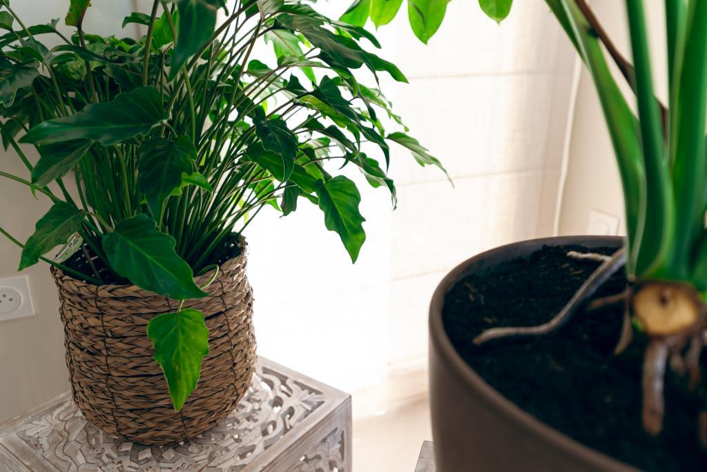 La Bali - Luxe et Détente - 9