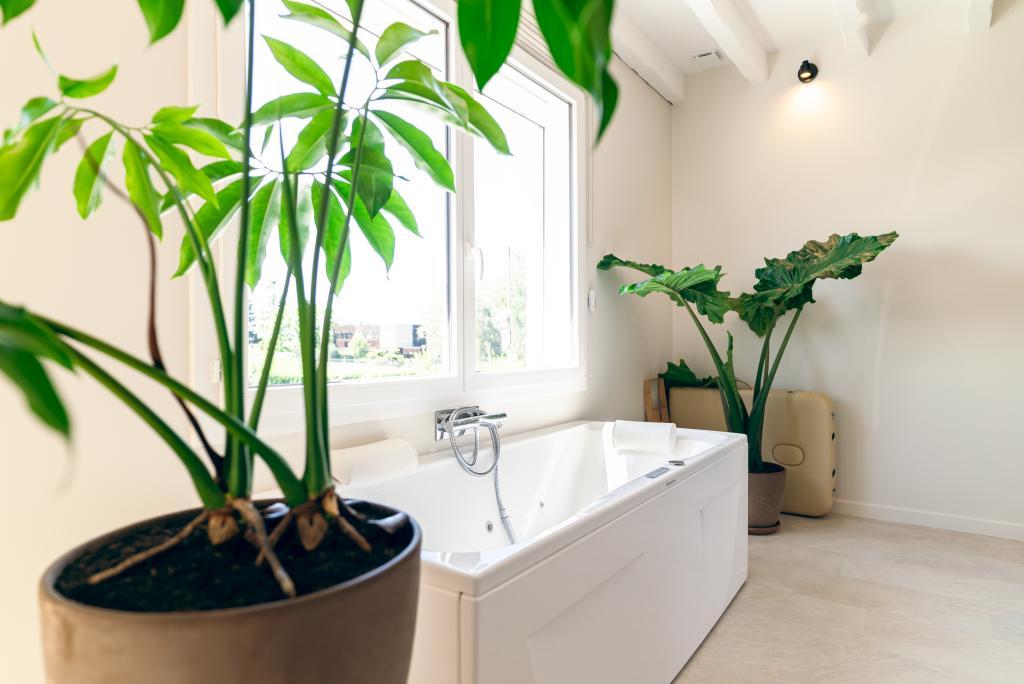 La Bali - Luxe et Détente - 5