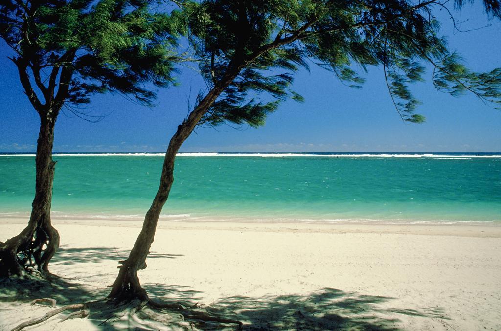 Le Côte Ouest - Appartement T3 Neuf Haut Standing - 45