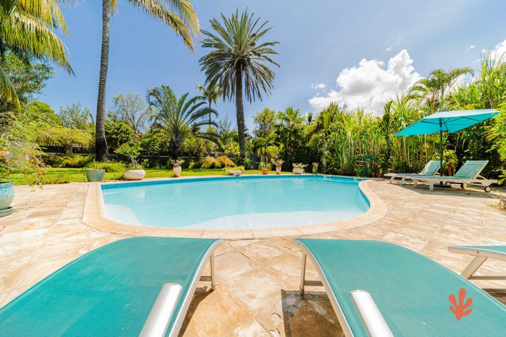 Le Paradis des Letchis - Piscine XXL, L'ermitage - 8