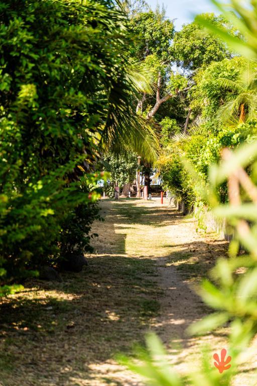 Le Paradis des Letchis - Piscine XXL, L'ermitage - 4
