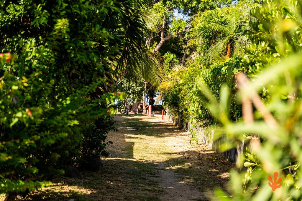 Le Paradis des Letchis - Piscine XXL, L'ermitage - 3