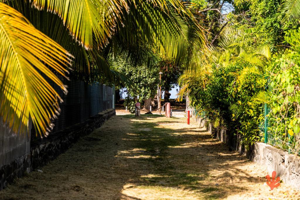 Le Paradis des Letchis - Piscine XXL, L'ermitage - 11