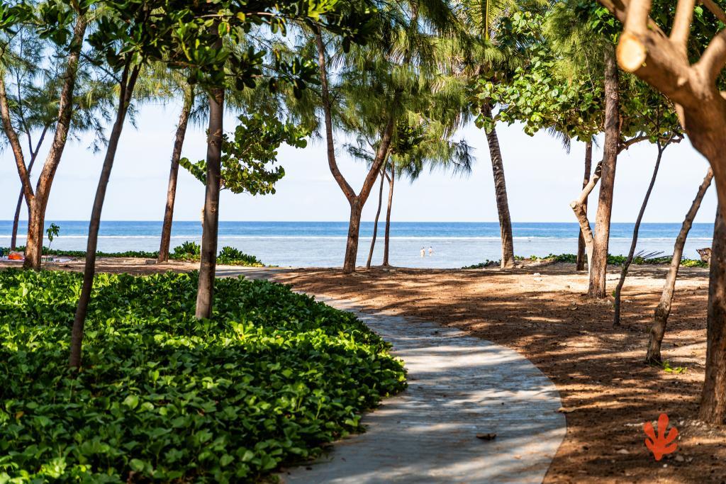 Le Paradis des Letchis - Piscine XXL, L'ermitage - 35