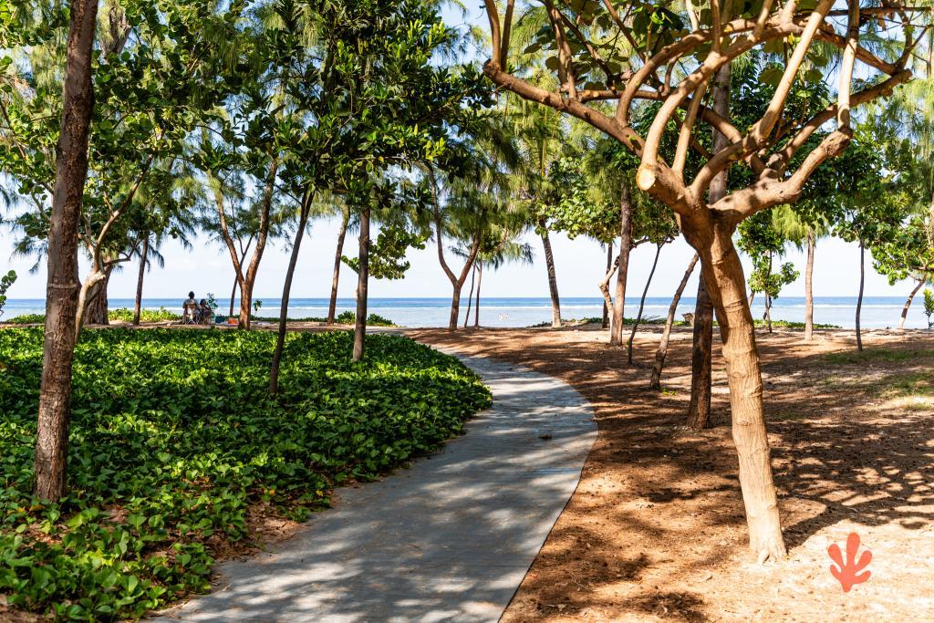 Le Paradis des Letchis - Piscine XXL, L'ermitage - 34