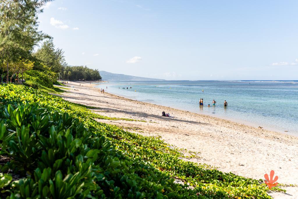 Le Paradis des Letchis - Piscine XXL, L'ermitage - 33