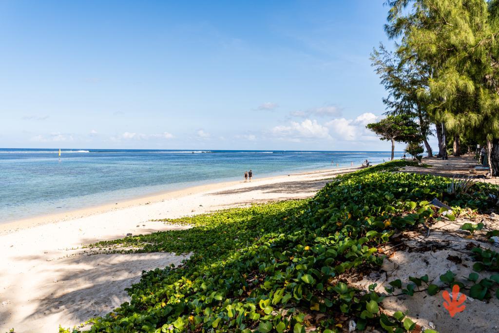 Le Paradis des Letchis - Piscine XXL, L'ermitage - 31