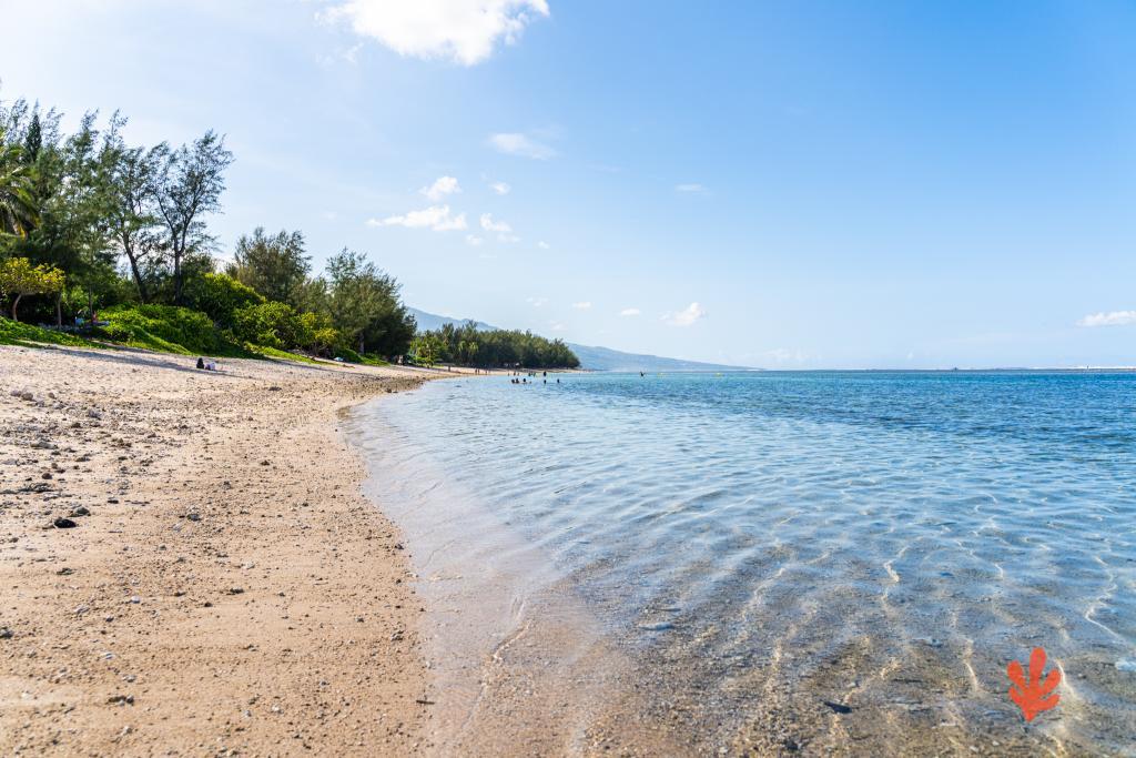Le Paradis des Letchis - Piscine XXL, L'ermitage - 30