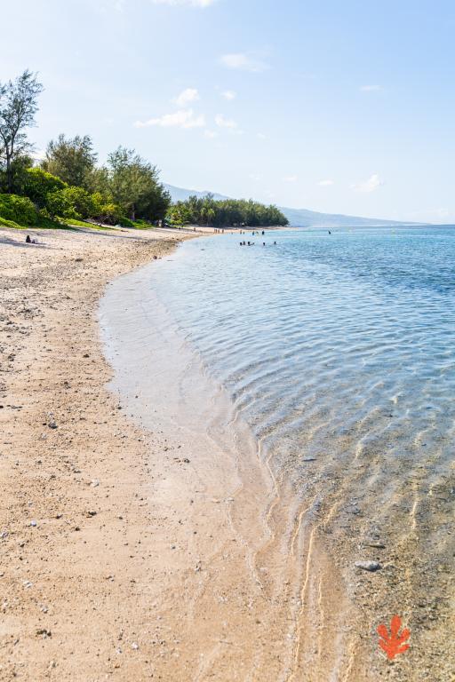 Le Paradis des Letchis - Piscine XXL, L'ermitage - 29