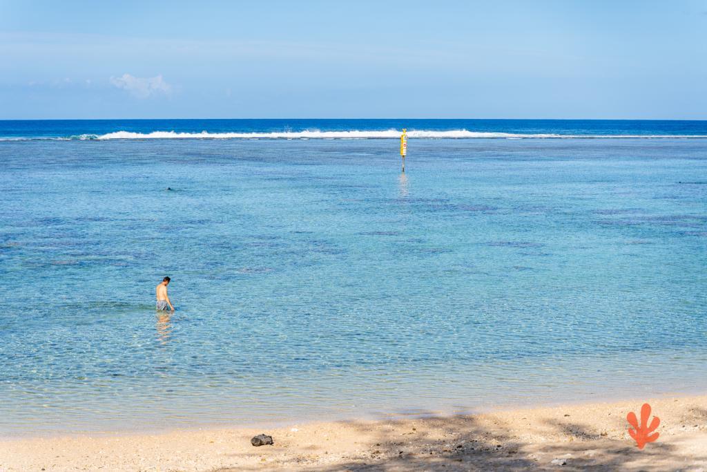 Le Paradis des Letchis - Piscine XXL, L'ermitage - 27
