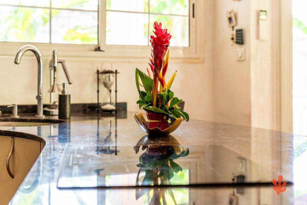 Le Paradis des Letchis - Piscine XXL, L'ermitage - 26