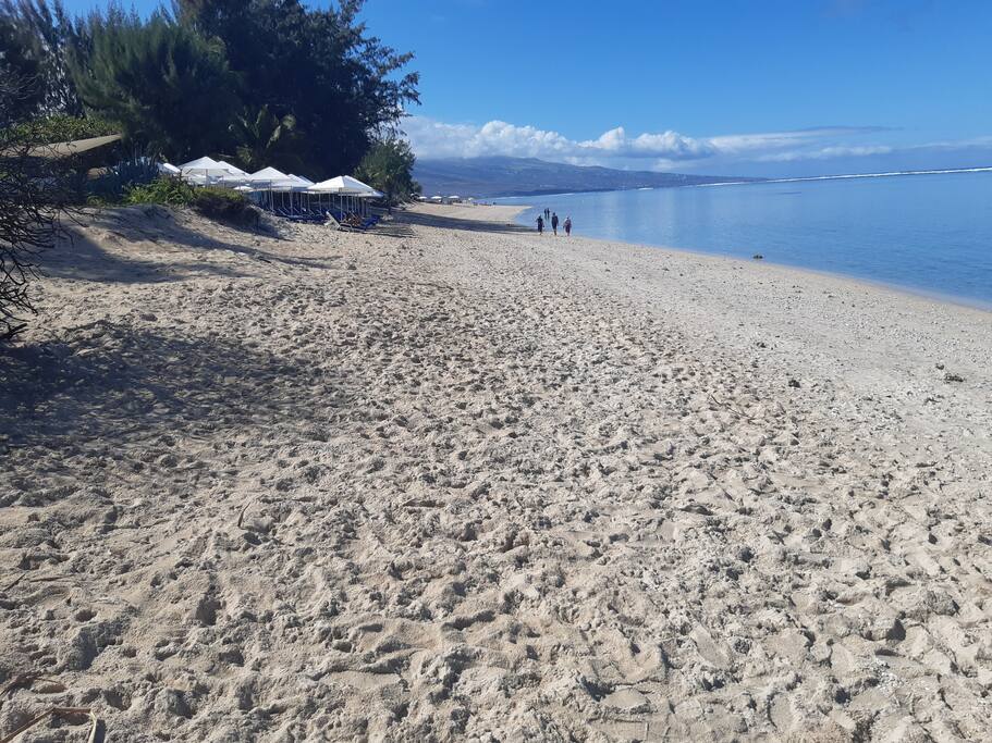 Le Jardin de Corail, splendide F1 à 2 pas du lagon - 48
