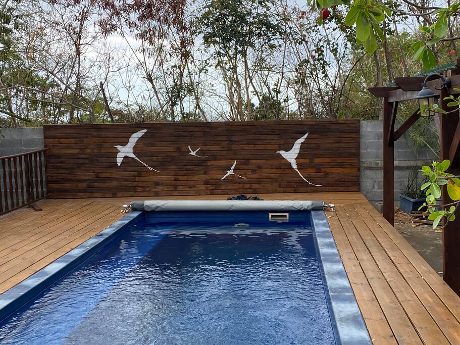 La Kaz Paille en Queue, Superbe Villa avec Piscine chauffée et jacuzzi - 5