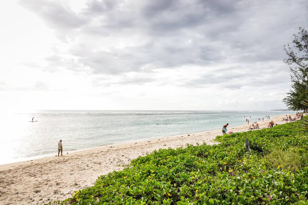 Le Sunset Studio pieds dans l'eau! - 14
