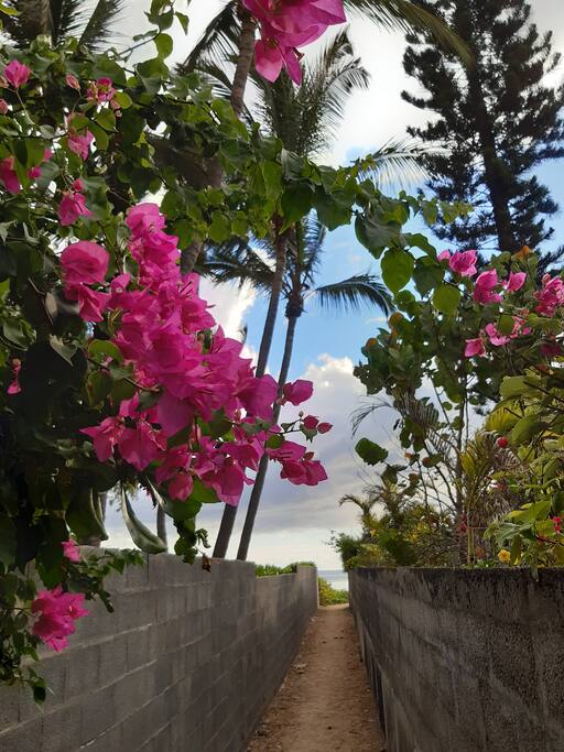 Le Kazuarina · Superbe ! Le Kazuarina, beau F3 à 50m du lagon - 9