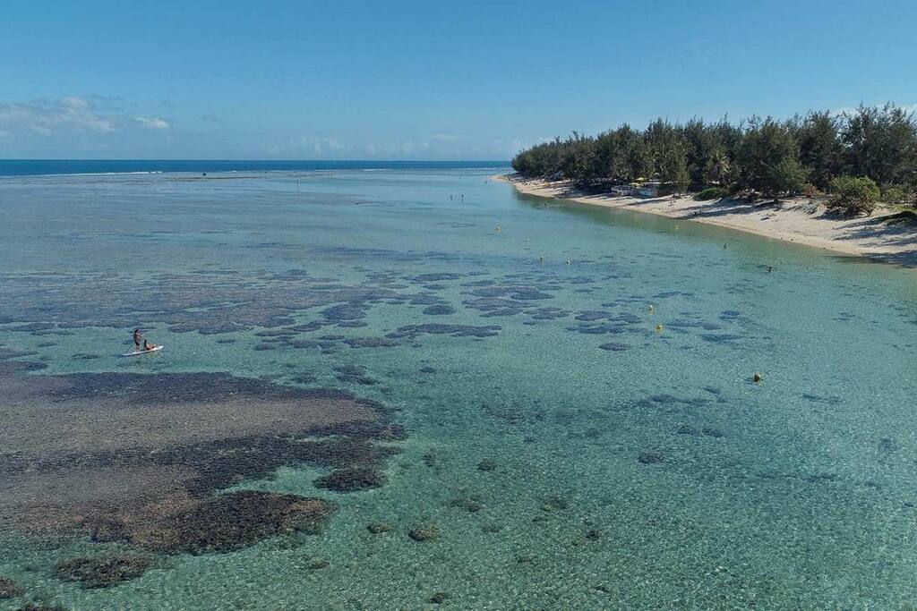 Le Jardin de Corail, splendide F1 à 2 pas du lagon - 37