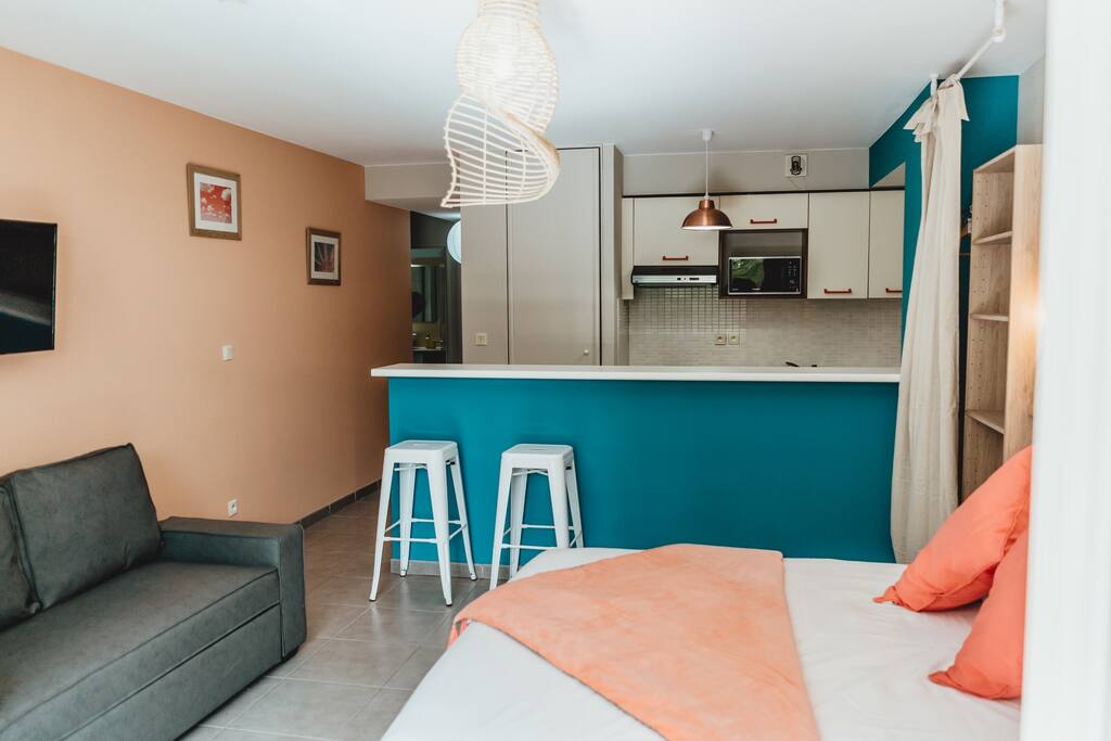 Le Jardin de Corail, splendide F1 à 2 pas du lagon - 24