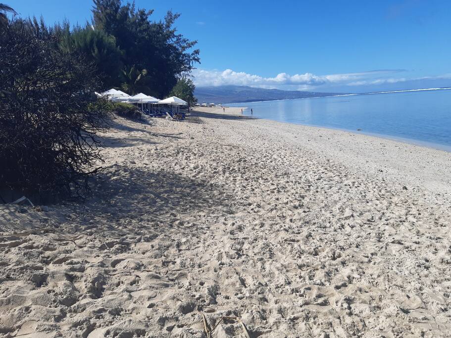 Le Jardin de Corail, splendide F1 à 2 pas du lagon - 42