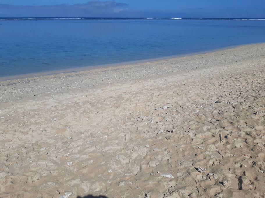 Le Jardin de Corail, splendide F1 à 2 pas du lagon - 45