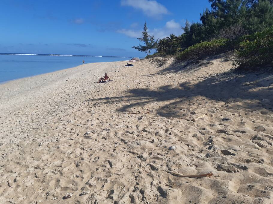 Le Jardin de Corail, splendide F1 à 2 pas du lagon - 47