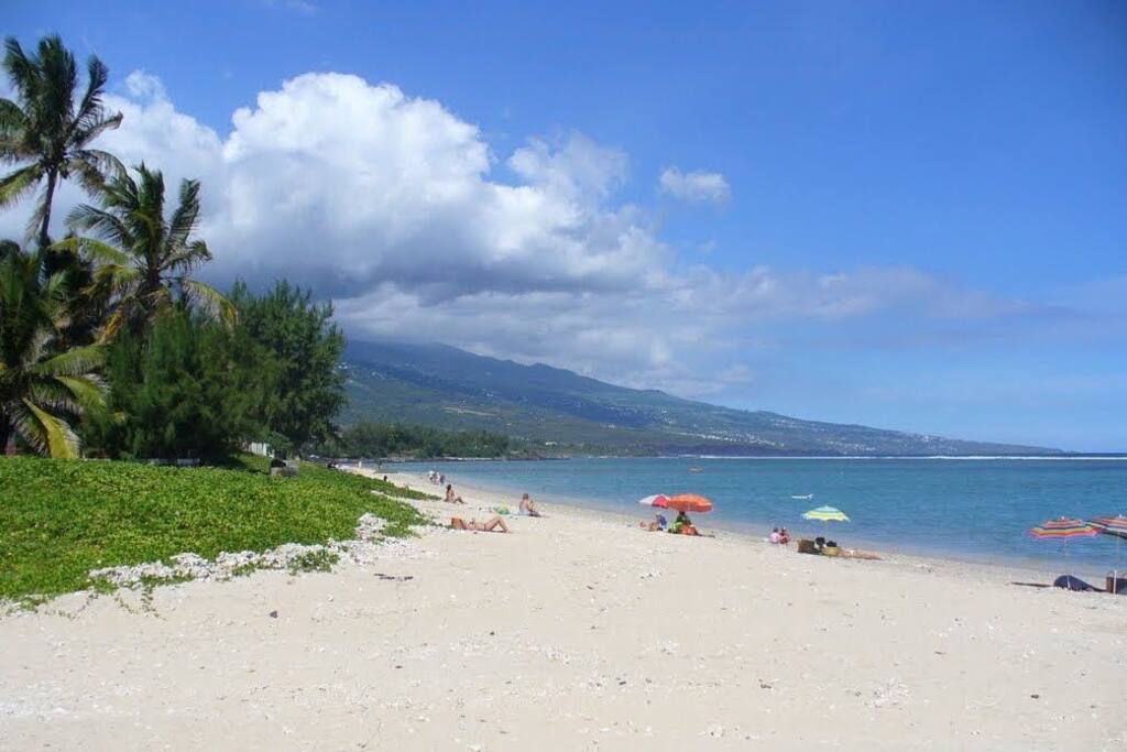 Le Jardin de Corail, splendide F1 à 2 pas du lagon - 36