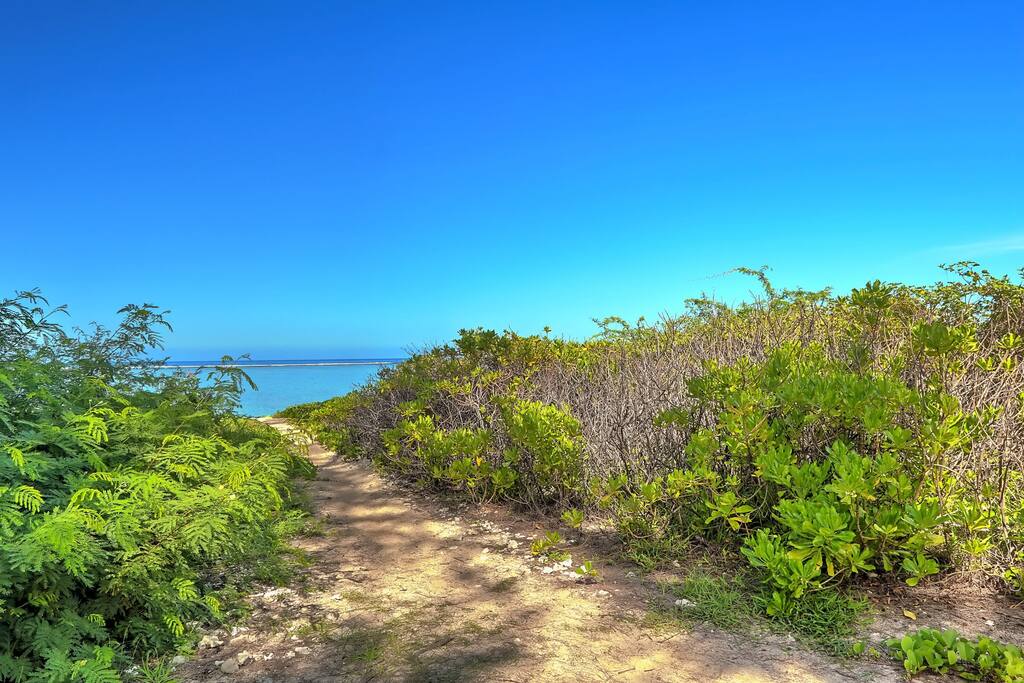 Le Kazuarina · Superbe ! Le Kazuarina, beau F3 à 50m du lagon - 41