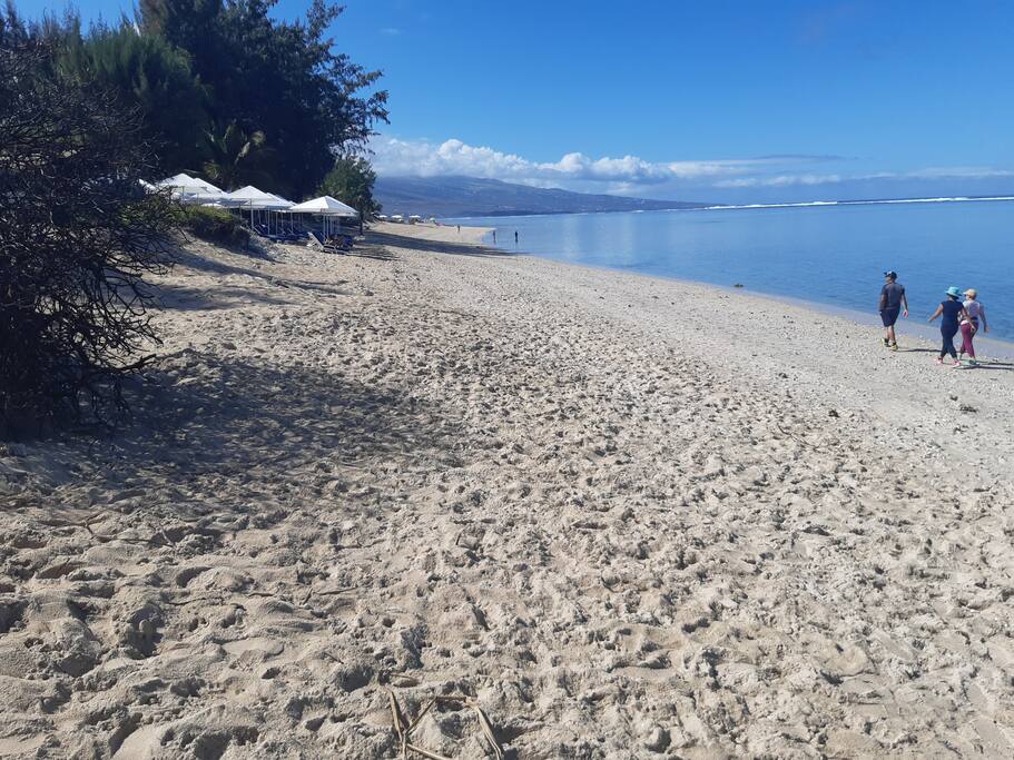 Le Jardin de Corail, splendide F1 à 2 pas du lagon - 43
