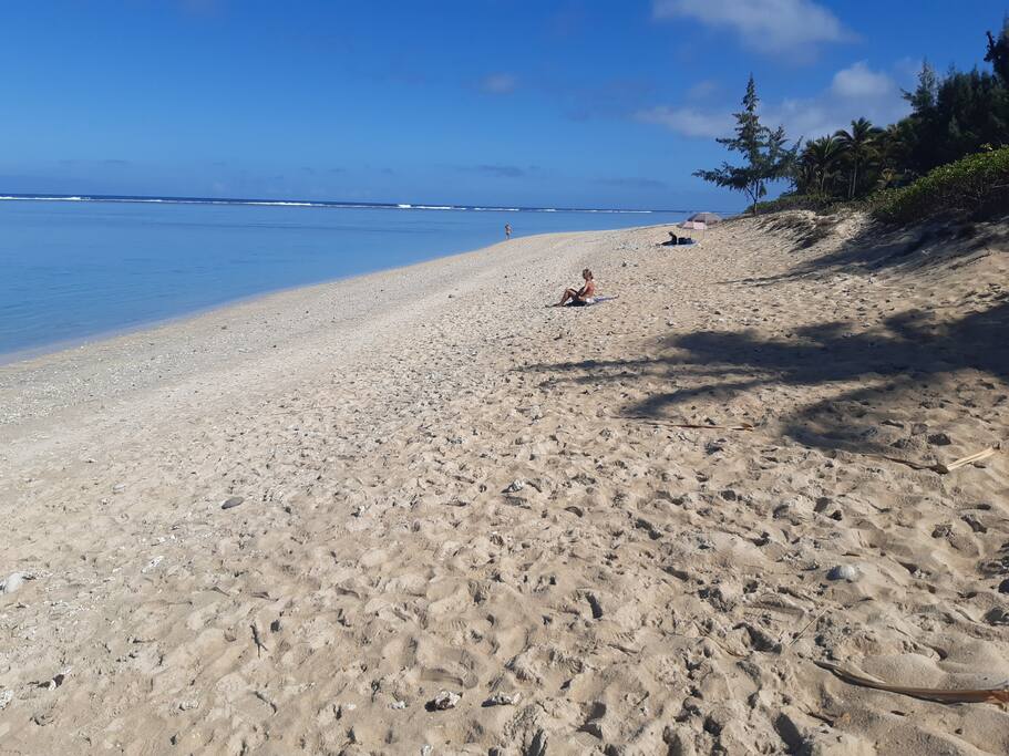 Le Jardin de Corail, splendide F1 à 2 pas du lagon - 46