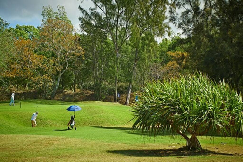 Le Jardin de Corail, splendide F1 à 2 pas du lagon - 38