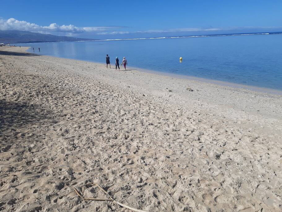 Le Jardin de Corail, splendide F1 à 2 pas du lagon - 44