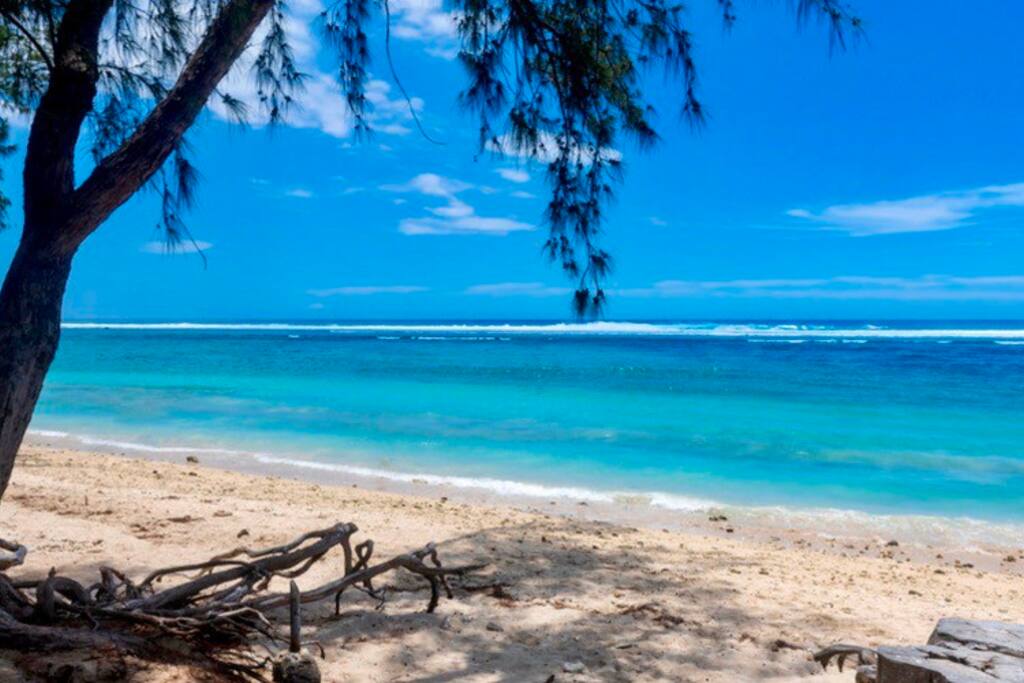 Le Sunset Studio pieds dans l'eau! - 6