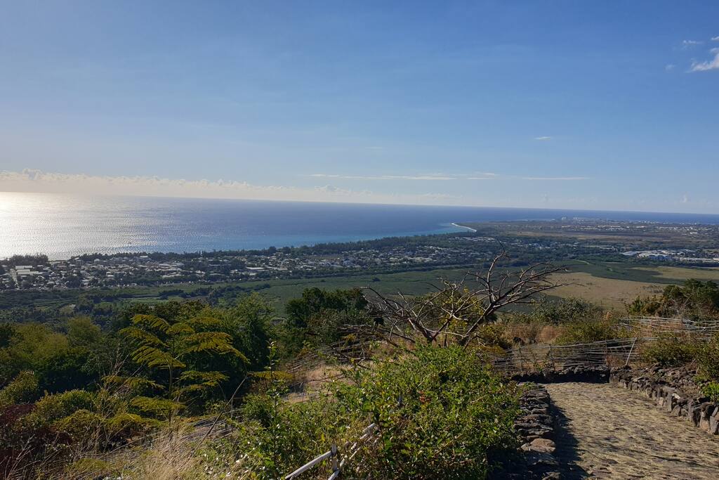 Le Kazuarina · Superbe ! Le Kazuarina, beau F3 à 50m du lagon - 14